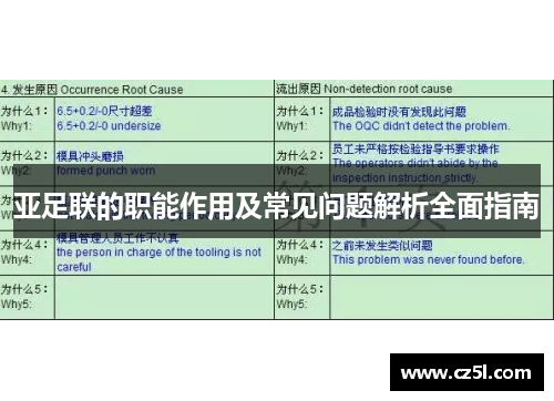亚足联的职能作用及常见问题解析全面指南