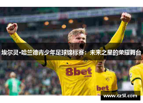 埃尔灵·哈兰德青少年足球锦标赛：未来之星的荣耀舞台