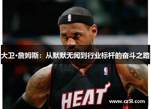 大卫·詹姆斯：从默默无闻到行业标杆的奋斗之路