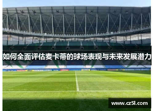 如何全面评估麦卡蒂的球场表现与未来发展潜力