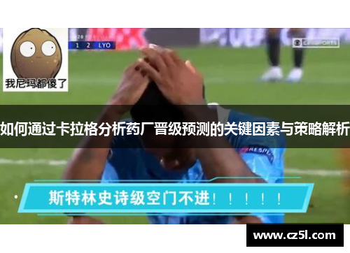 如何通过卡拉格分析药厂晋级预测的关键因素与策略解析